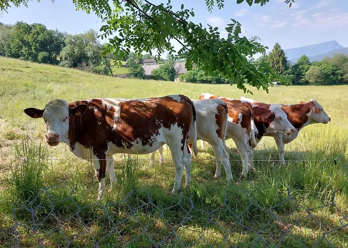 Le Gite De L'Antre Lacs